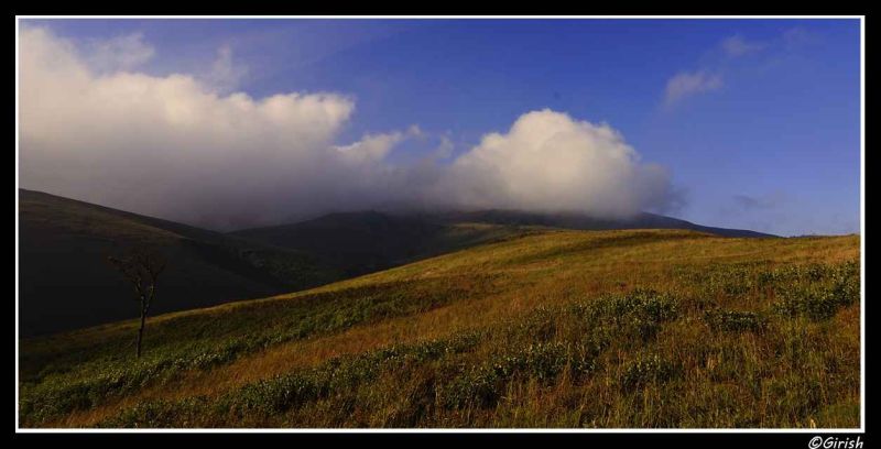 chandra drona parvatha range.jpg
